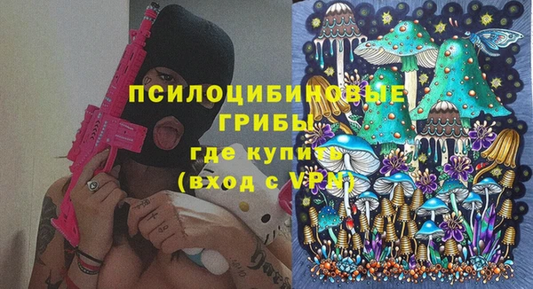 молекула духа Алексин