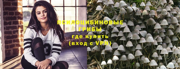 дмт Алзамай