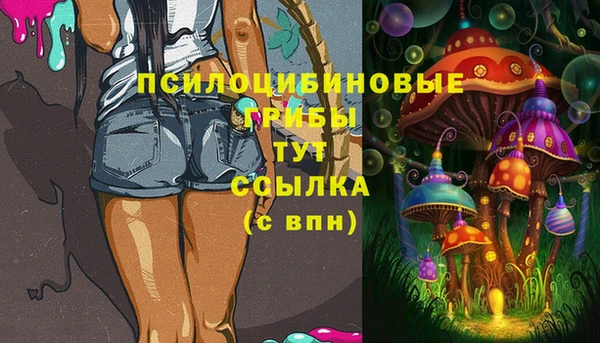 молекула духа Алексин