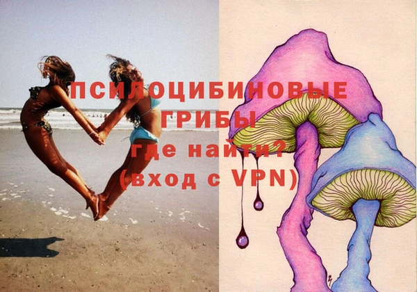 дмт Алзамай