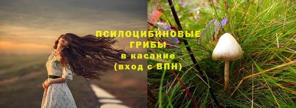 дмт Алзамай