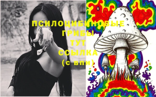 дмт Алзамай